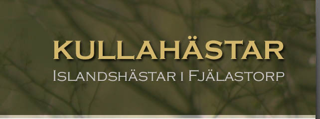 Vlkommen till Kullahstar - Islandshstar p Fjlastorp